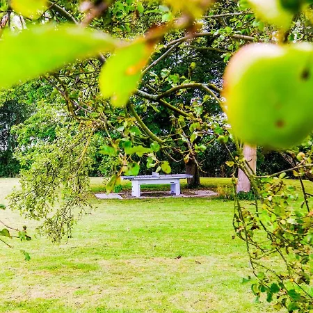 Luxurious In With Private Garden Zwartewaal