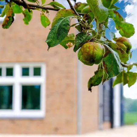 Luxurious In With Private Garden Holiday home *